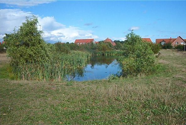 Ferienwohnungen Manfred Peters Baven Hermannsburg Exterior photo