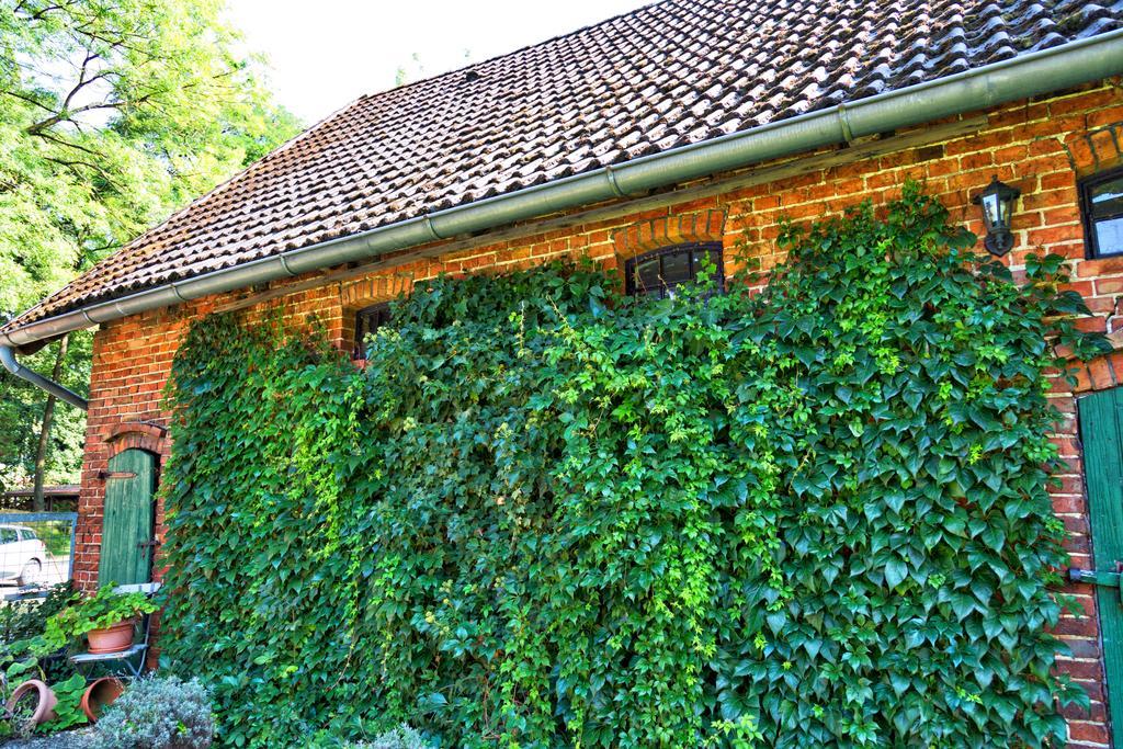 Ferienwohnungen Manfred Peters Baven Hermannsburg Exterior photo
